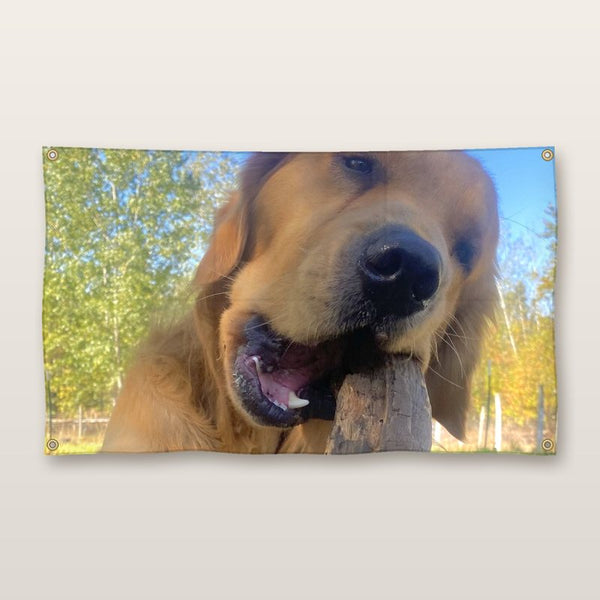 Dog photo printed as a 3x5 flag