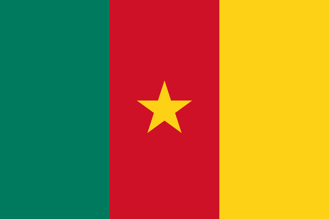 Cameroon flag, 3x5 ft polyester wall flag with grommets