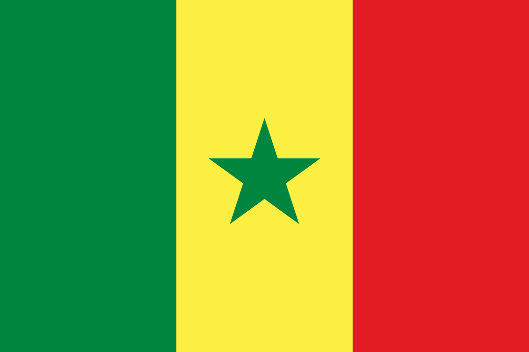 Senegal flag, 3x5 ft polyester wall flag with grommets