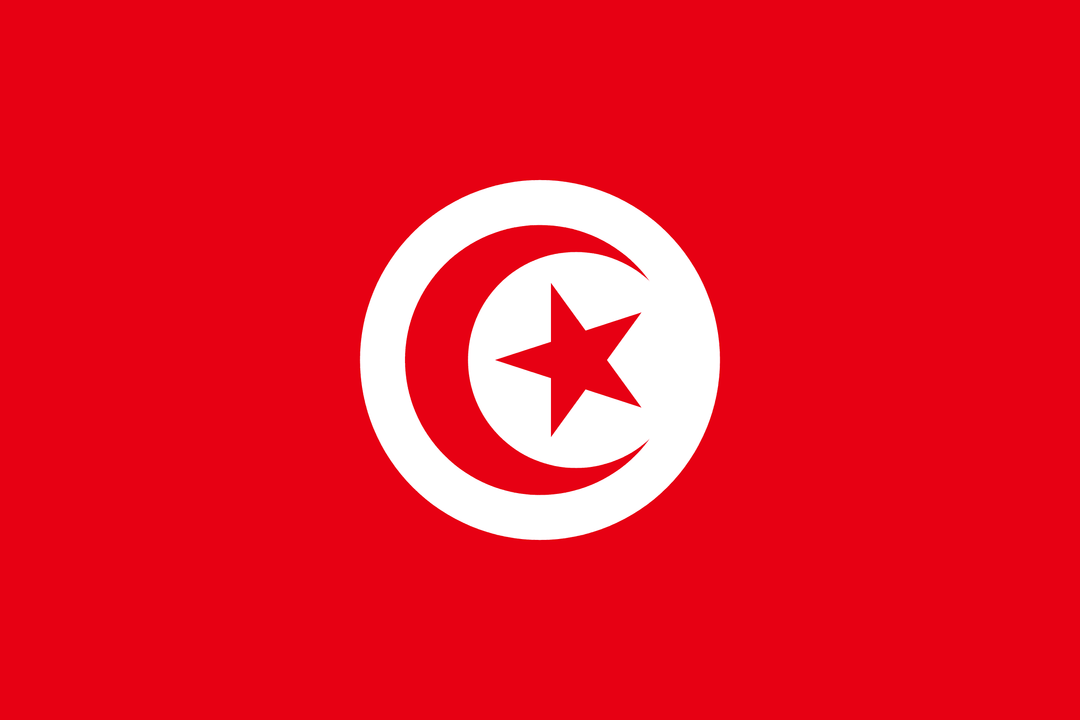 Tunisia flag, 3x5 ft polyester wall flag with grommets